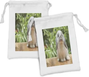 Ambesonne Bunny Fabric Pouch Set of 2, Photo of a Holland Lop Rabbit Standing on a Wooden Board Green Plants at Background, Small Drawstring Bag for Toiletries Masks and Favors, 9" x 6", Multicolor