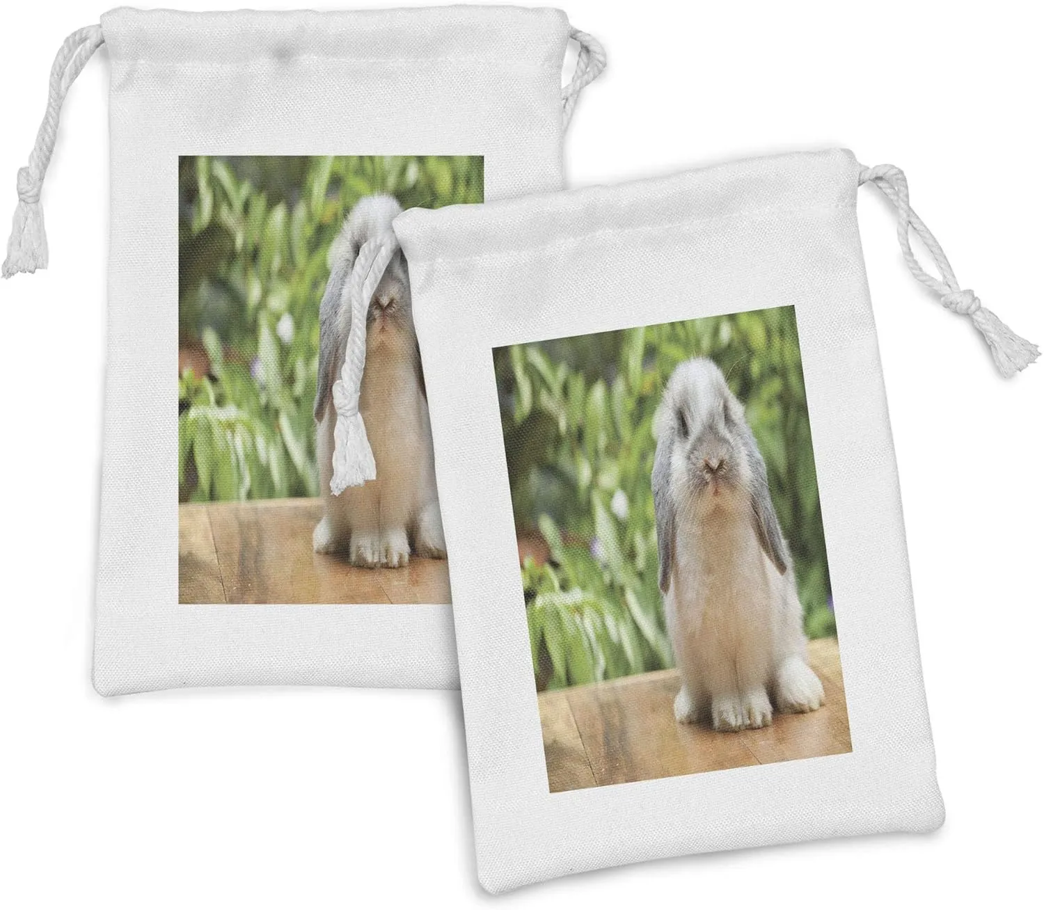 Ambesonne Bunny Fabric Pouch Set of 2, Photo of a Holland Lop Rabbit Standing on a Wooden Board Green Plants at Background, Small Drawstring Bag for Toiletries Masks and Favors, 9" x 6", Multicolor