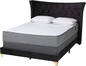 Baxton Studio Easton Bed (Box Spring Required), Queen, Black