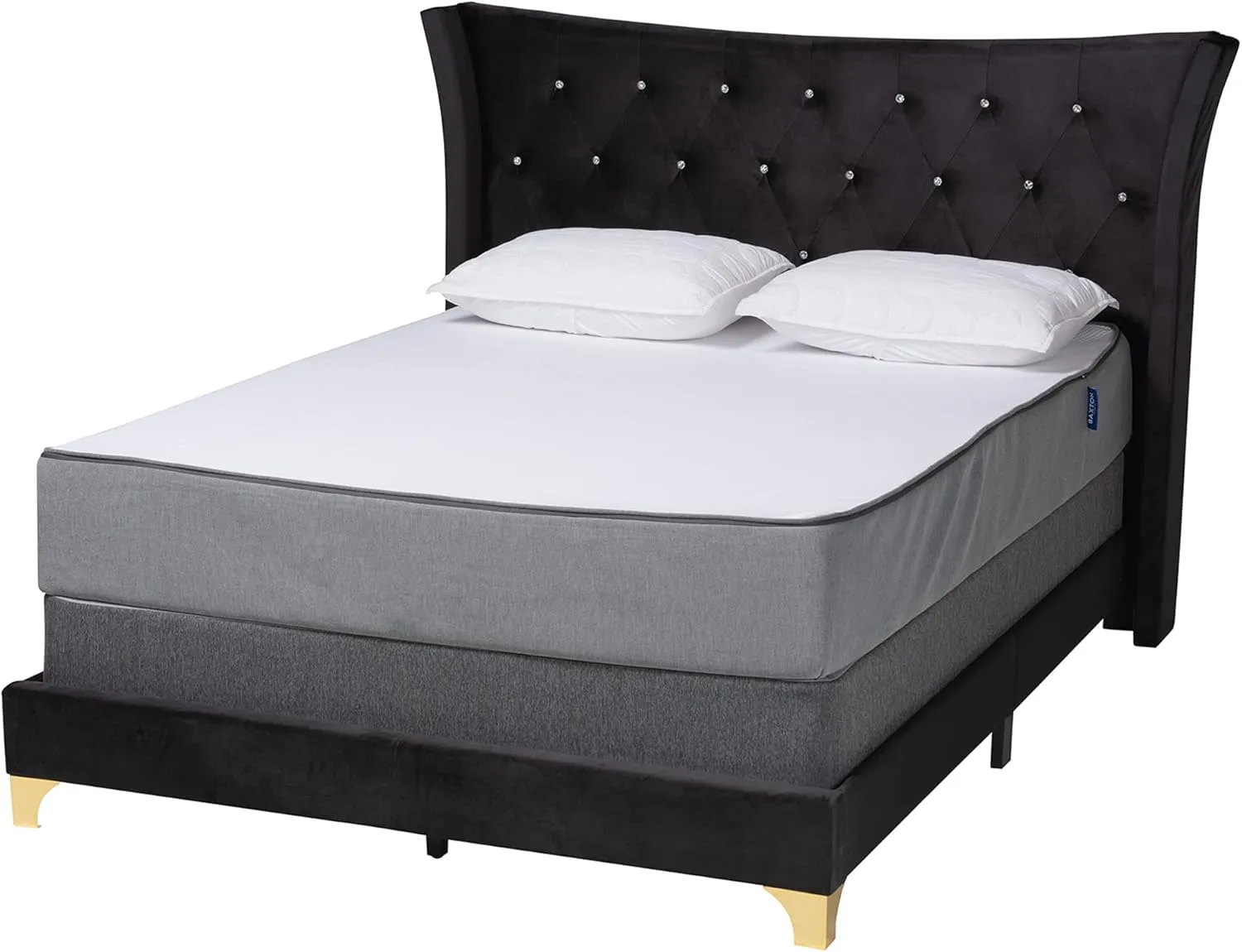 Baxton Studio Easton Bed (Box Spring Required), Queen, Black