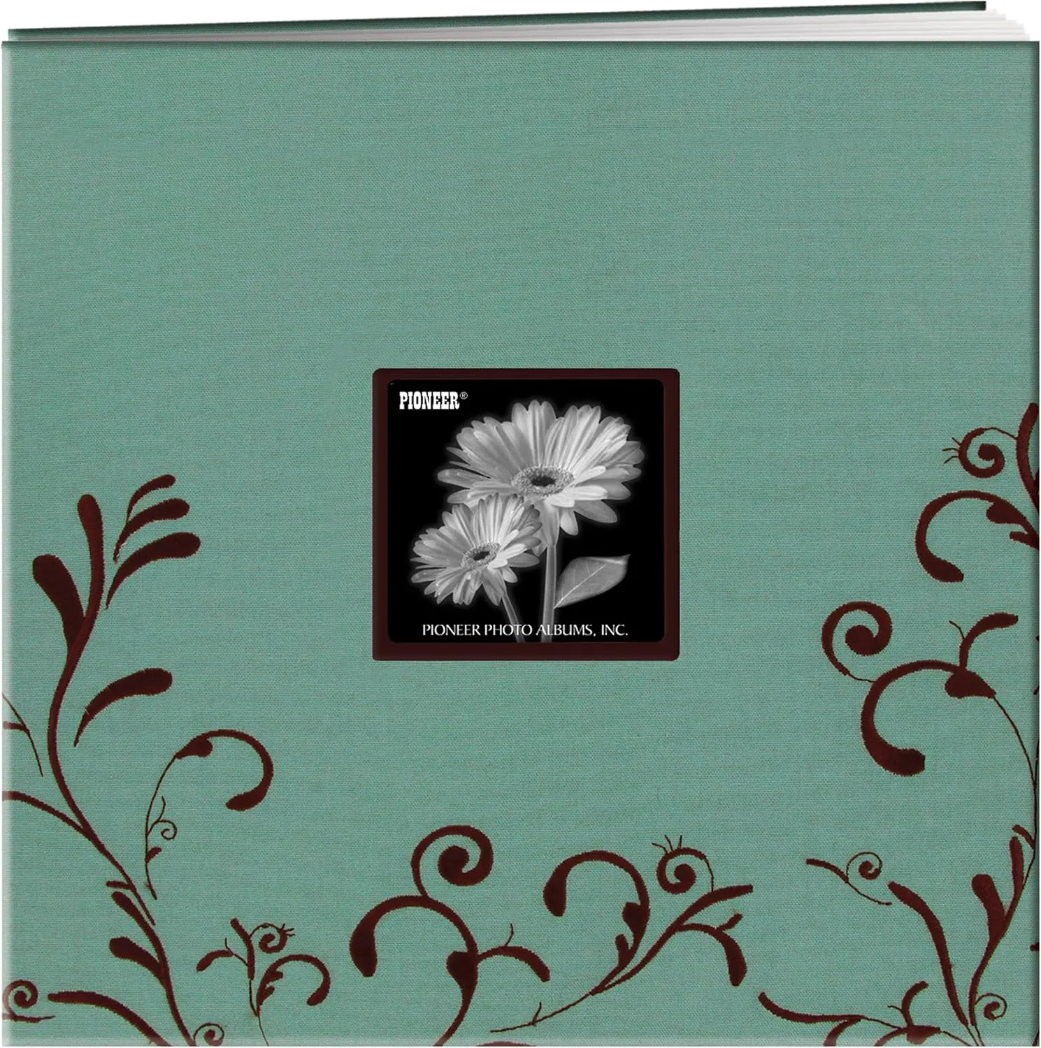 Pioneer MB-10CES Aqua/Brown Scrapbook