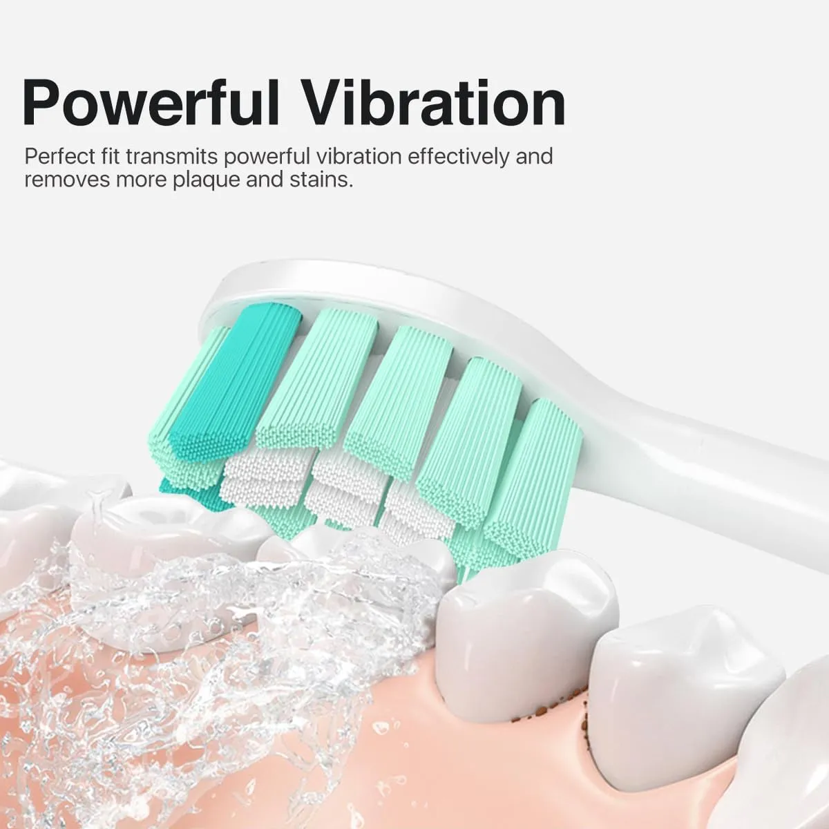 Replacement Toothbrush Heads for Philips Sonicare Replacement Heads C1,4100,G2,C2,Replacement Brush Head Compatible with Phillips Sonicare Electric Toothbrush C2,C1,4100,for Philips Sonic Care Brush
