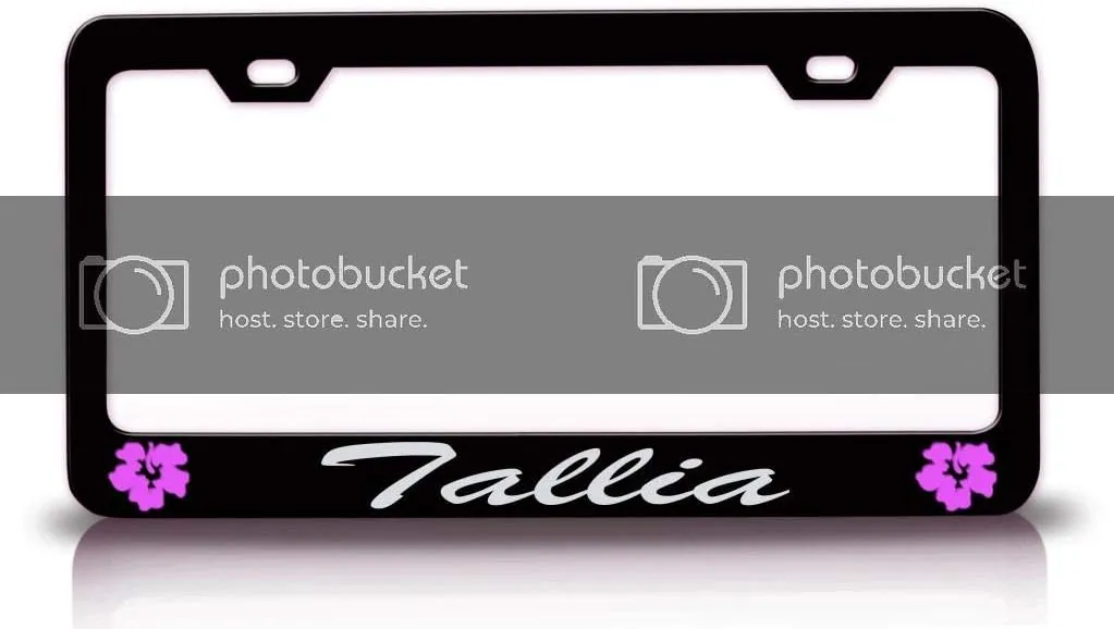 Tallia Female Name Hibiscus Metal Car SUV Truck License Plate Frame Bl s15