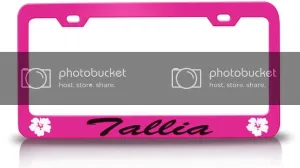 Tallia Female Name Hibiscus Metal Car SUV Truck License Plate Frame Pn z37